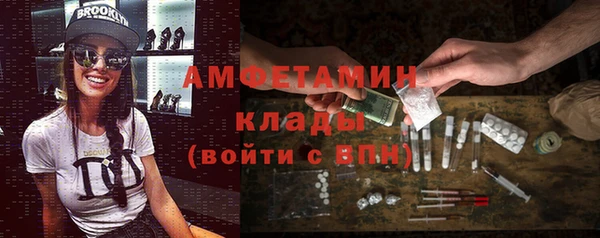 ГАЛЛЮЦИНОГЕННЫЕ ГРИБЫ Аркадак