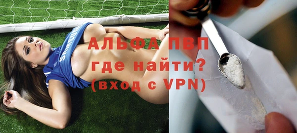 стаф Арсеньев