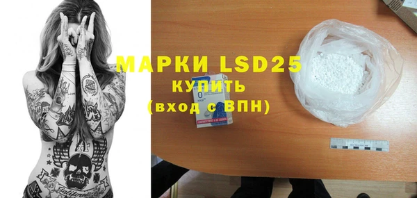 ГАЛЛЮЦИНОГЕННЫЕ ГРИБЫ Аркадак