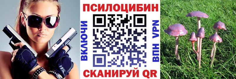 Галлюциногенные грибы MAGIC MUSHROOMS  blacksprut как зайти  Ипатово  наркота 